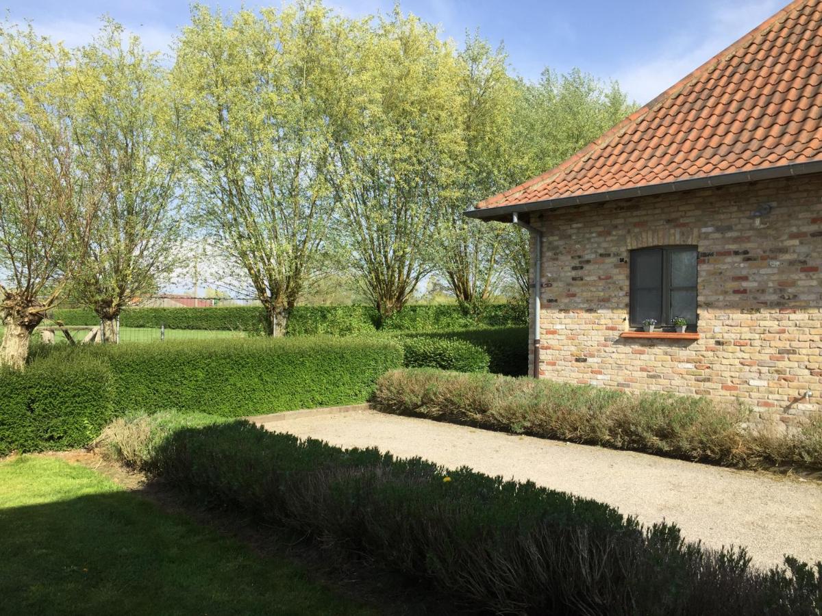 BB-hof ter boone - B&B
