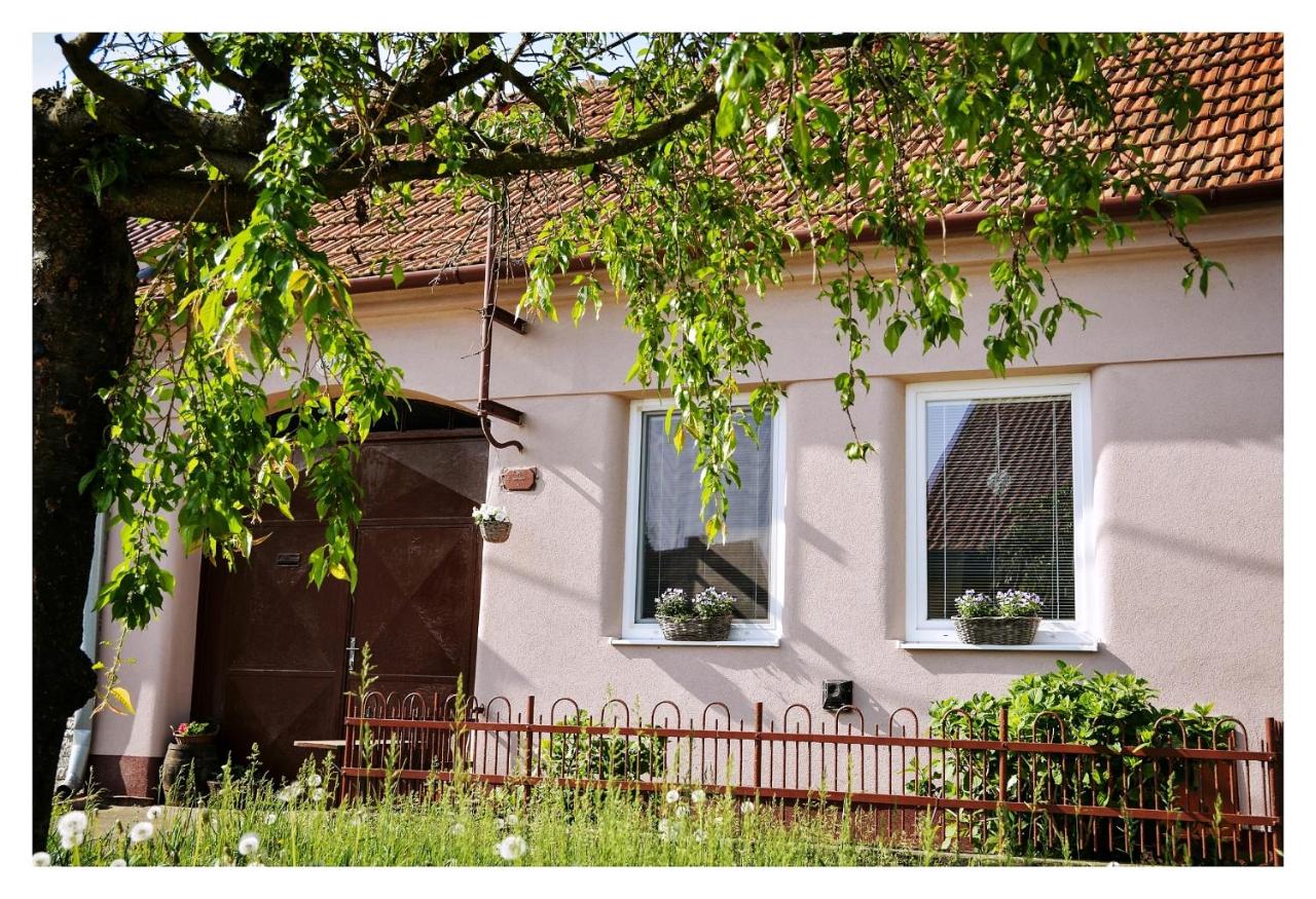 Ubytování U Trati - B&B