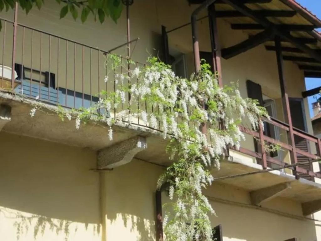 Belgirate il Lavatoio - B&B