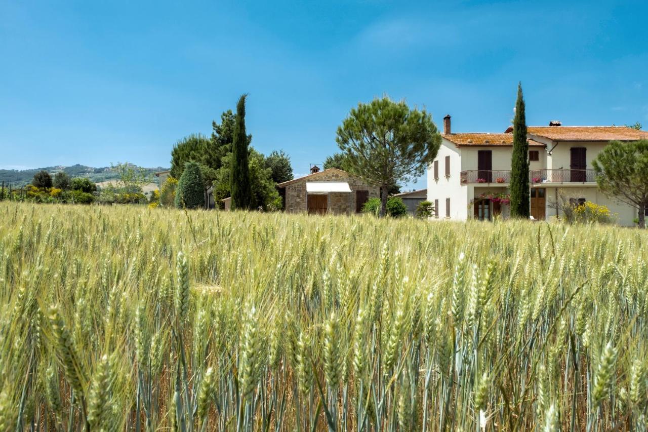 Agriturismo San Marcello - B&B Castiglione d'Orcia
