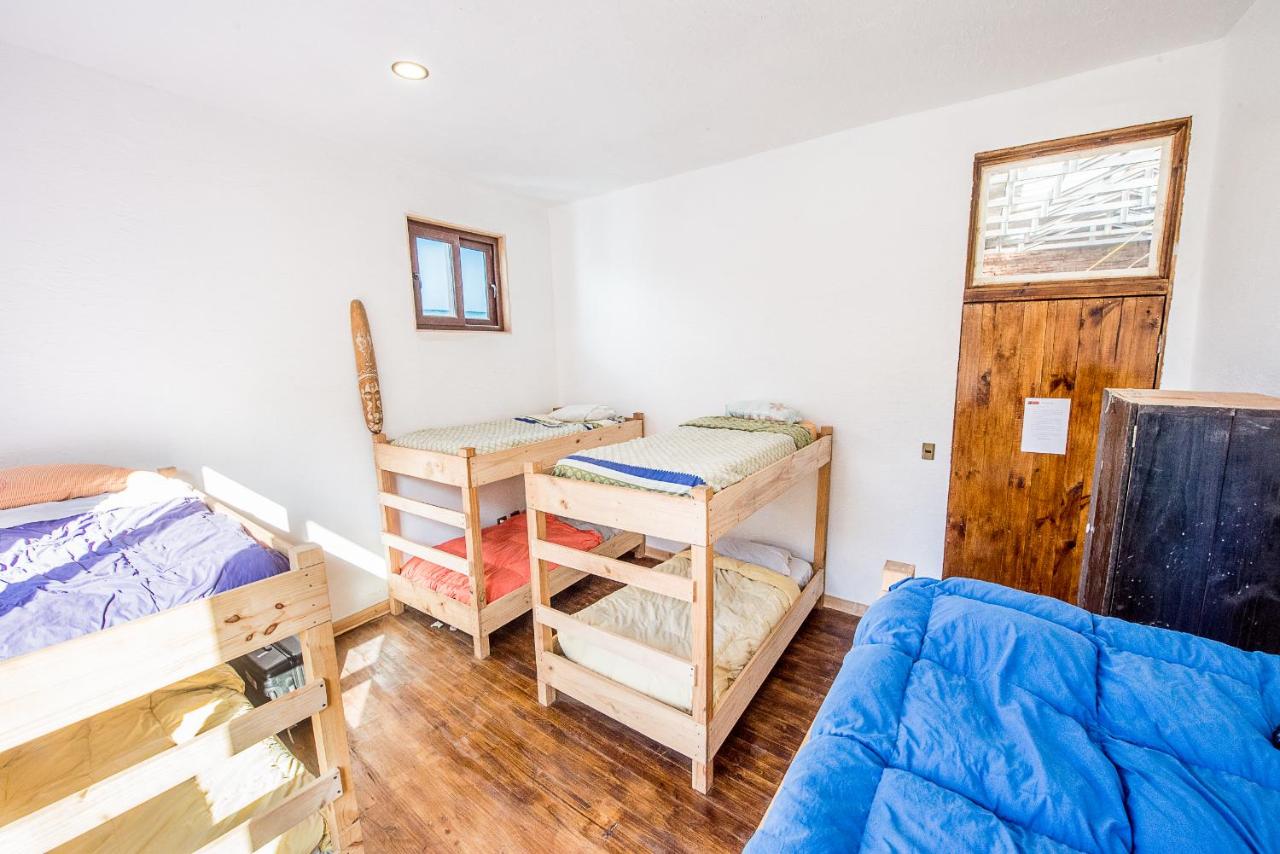 Bed in 8-Bed Mixed Dormitory Room