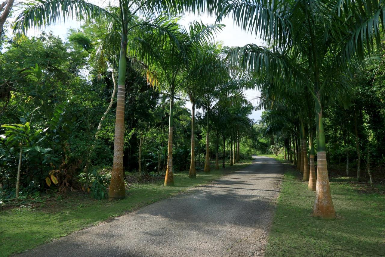 Hacienda Tres Casitas - Chambres d'hôtes Cabo Rojo