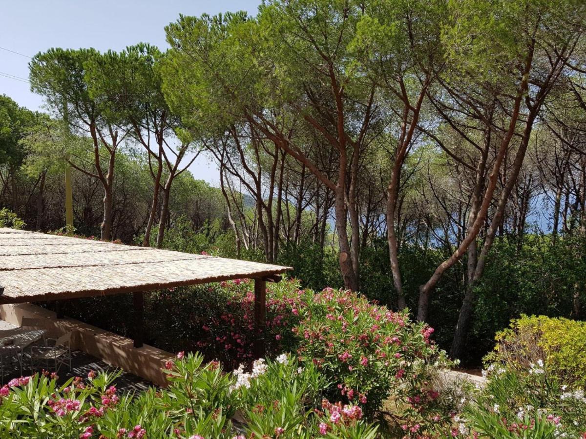 Villino I Pini - B&B