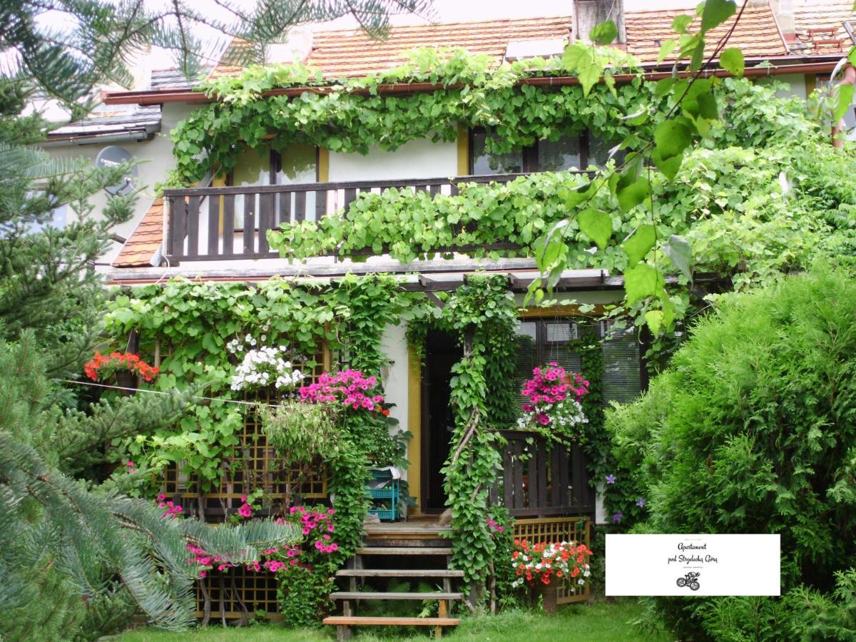 Apartament pod Strzelecką Górą - B&B