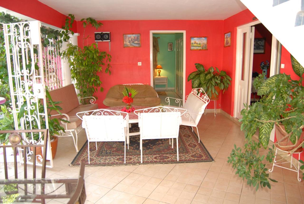 Pink Hibiscus Bed and Breakfast - Ferienwohnung