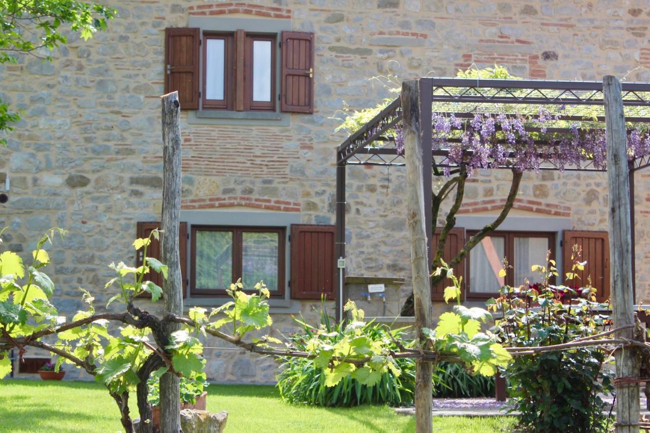 L'Antico Cipresso - B&B