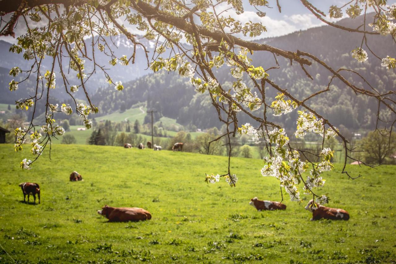 Biohof Jörgenbauer - B&B Schliersee