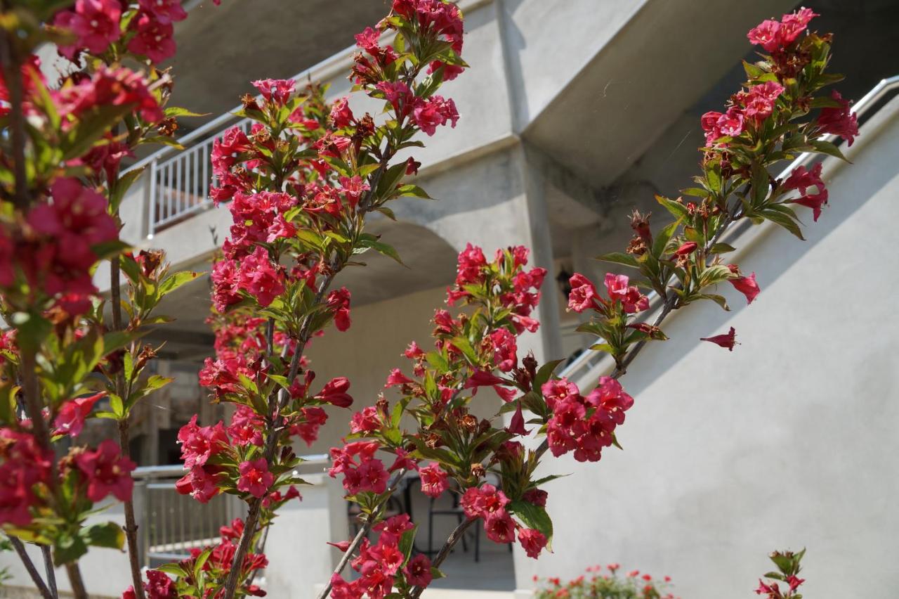 Apartments Marija - Chambres d'hôtes Tivat