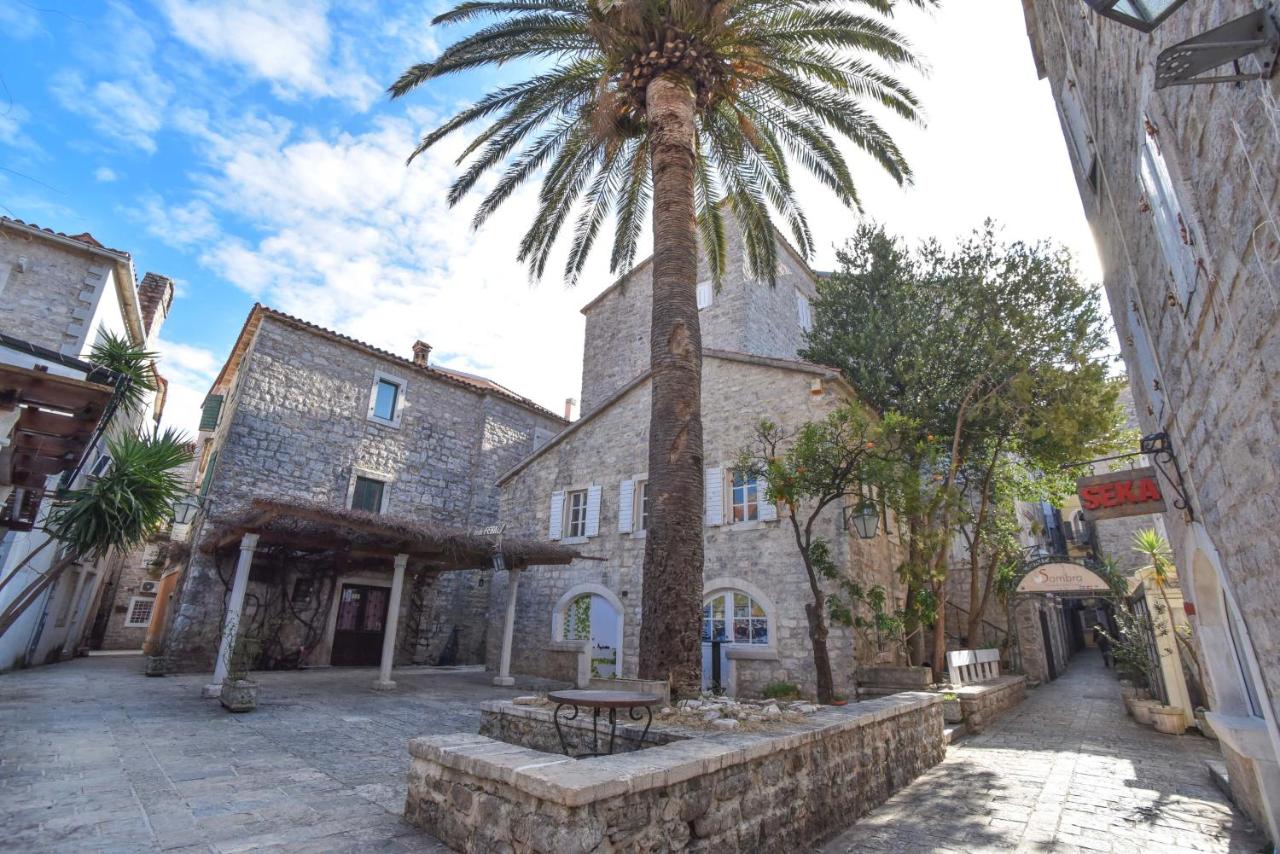 Palm square apartment 2 - B&B Budva