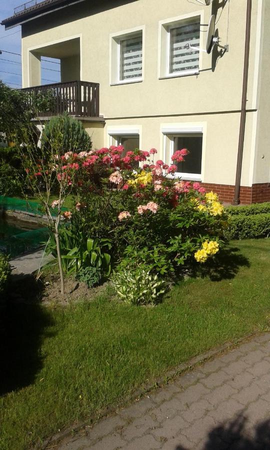 APARTAMENT WŁODEK - B&B