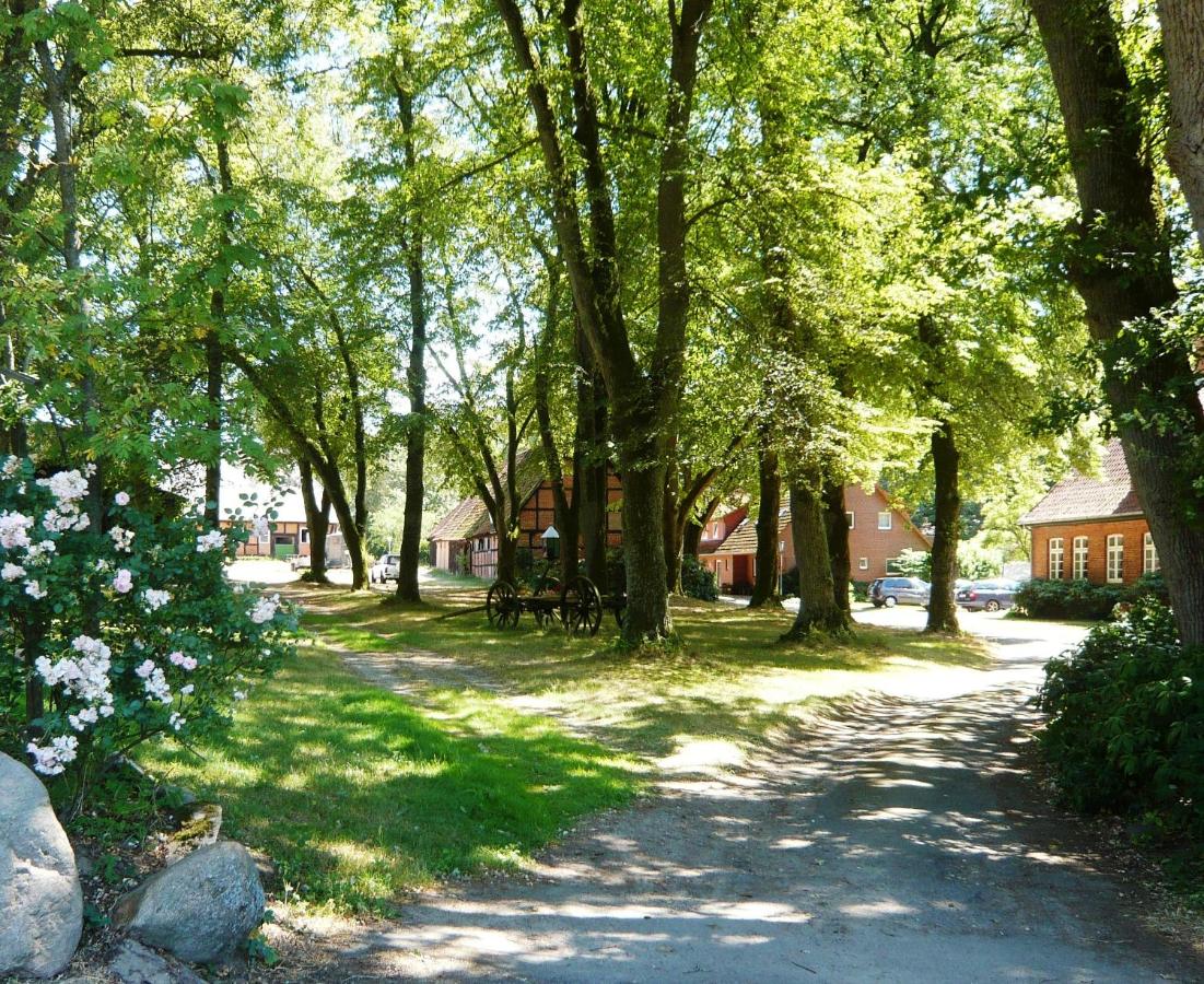 Ferienpension Lindenhof - Ferienwohnungen in der Lüneburger Heide - B&B