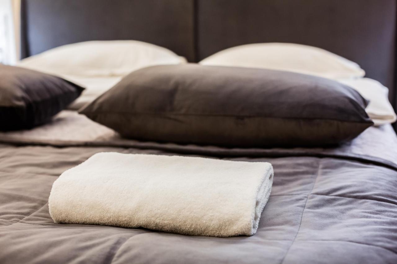 Royal Luxury apartment on Tsehova 9 - B&B Leopoli