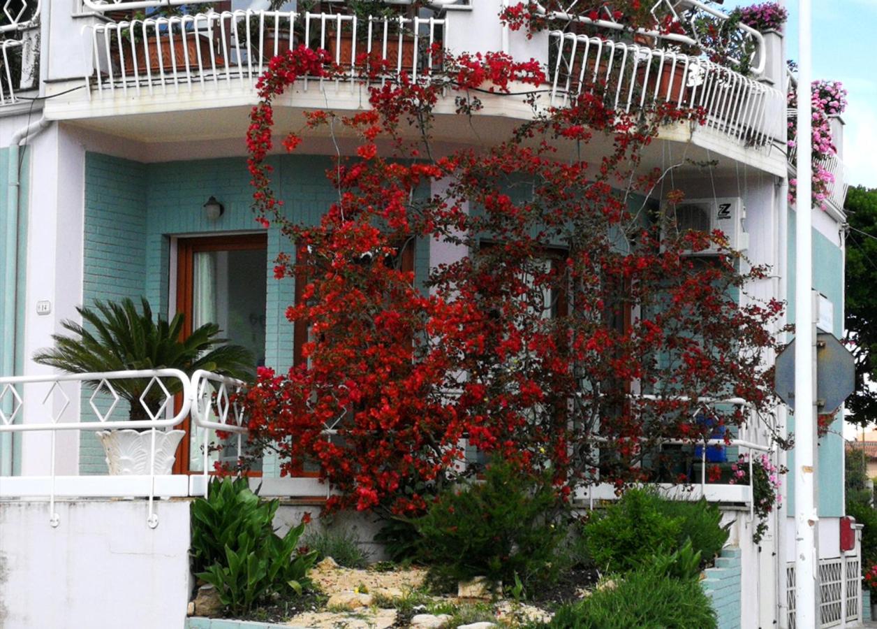 Il giardino all'angolo - B&B Villacidro