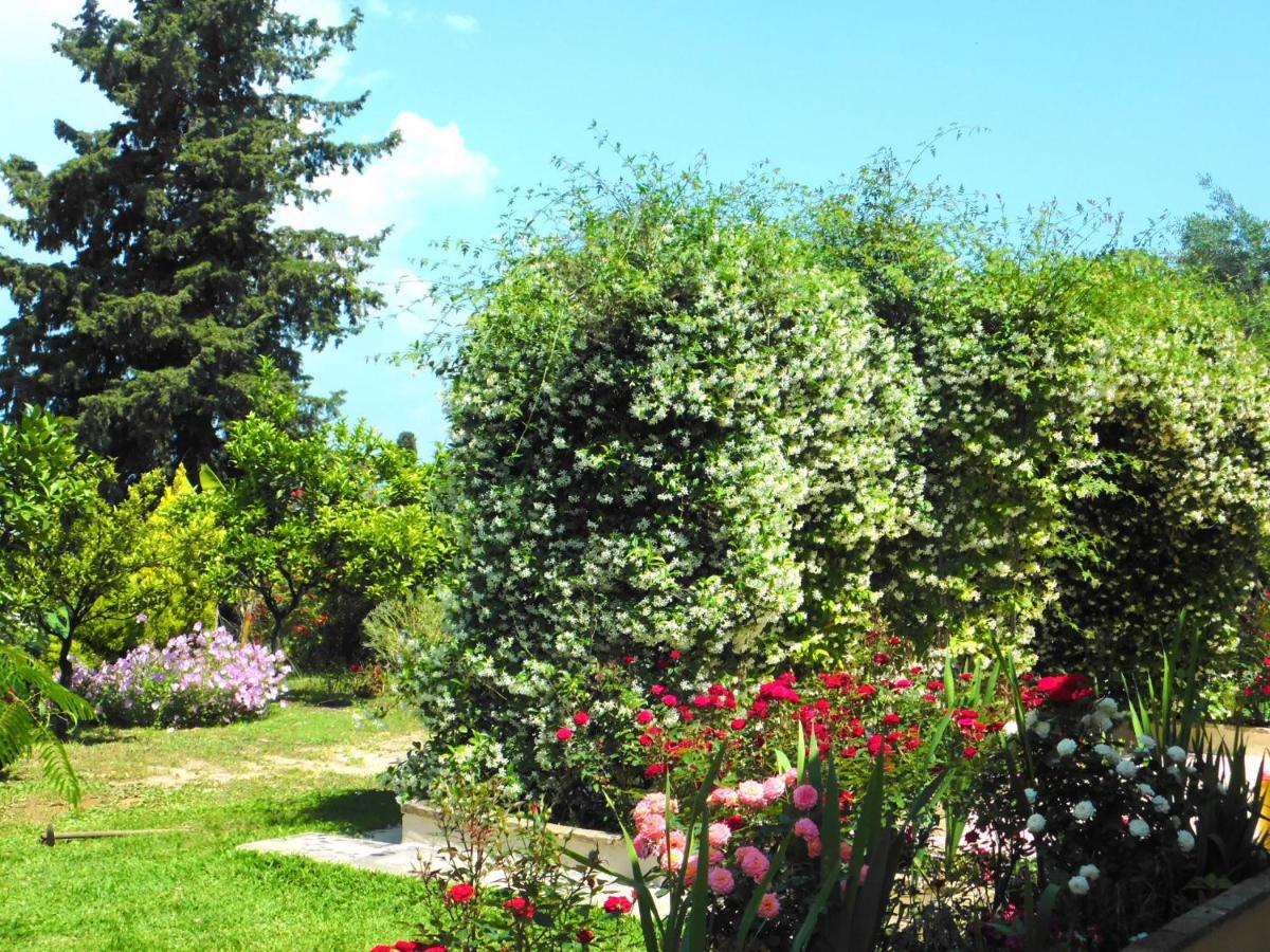 Olga's Hill - B&B Perama