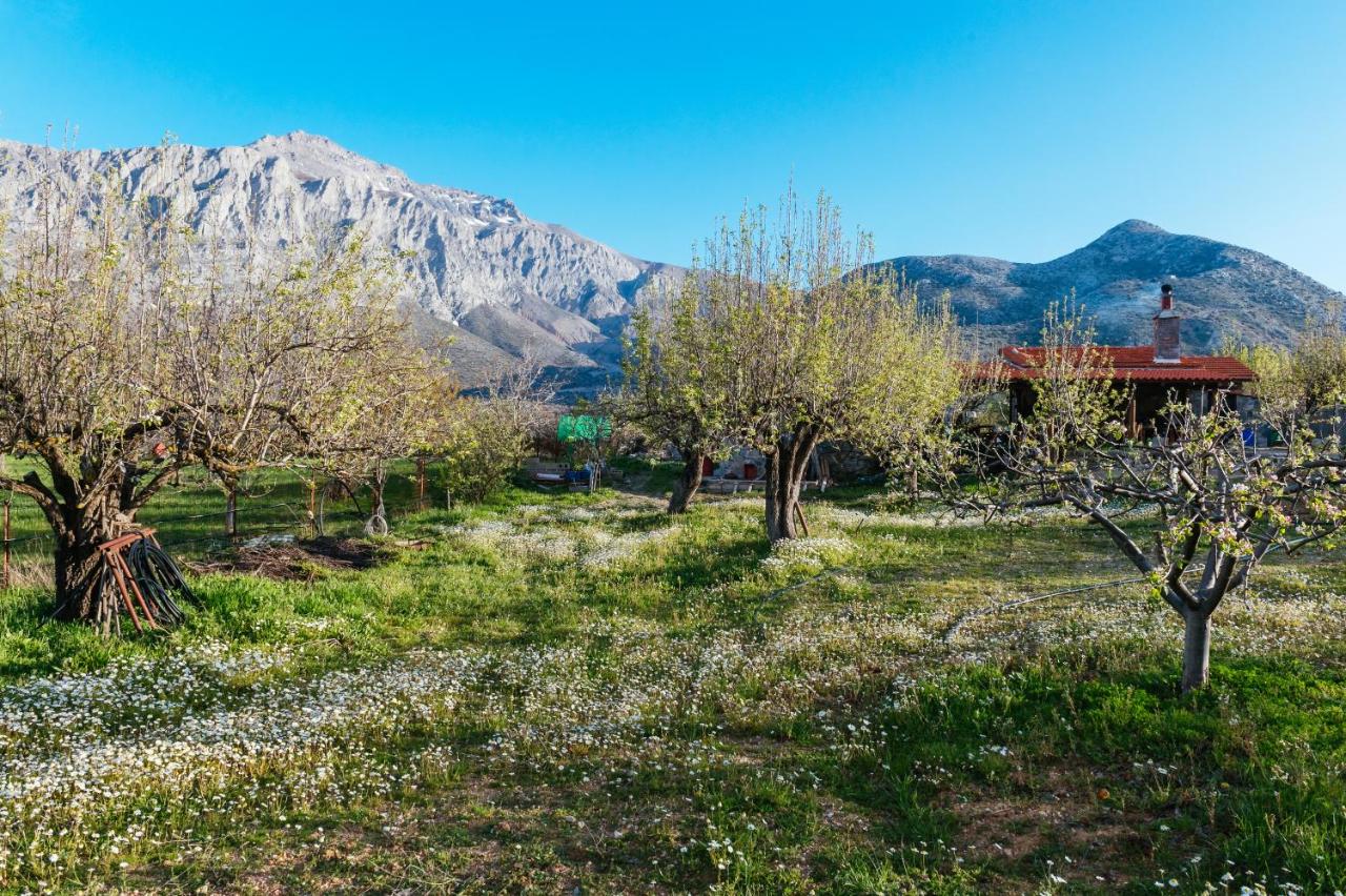 Vasilikata - B&B Ágios Konstantínos