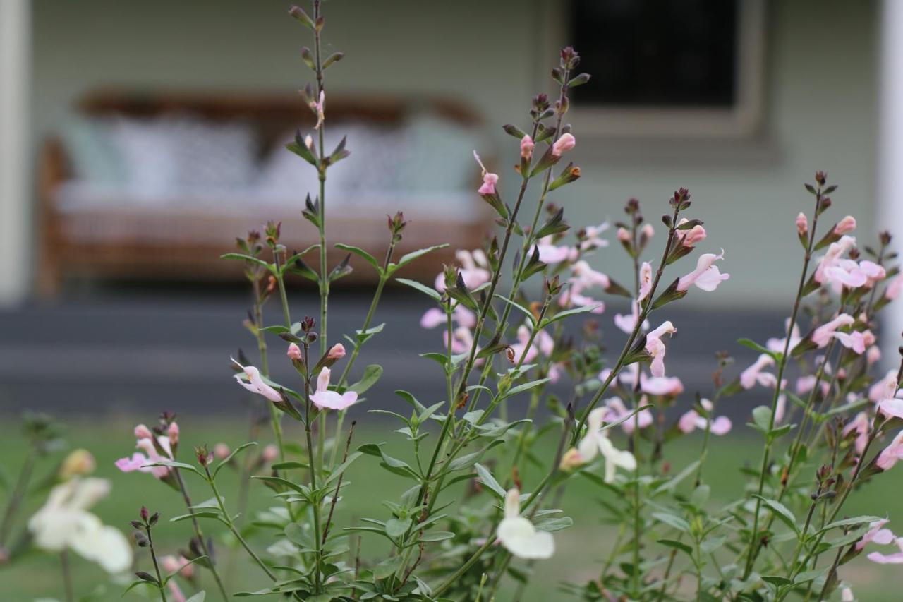 B&B Allynbrook - Serendipity on Allyn - Bed and Breakfast Allynbrook