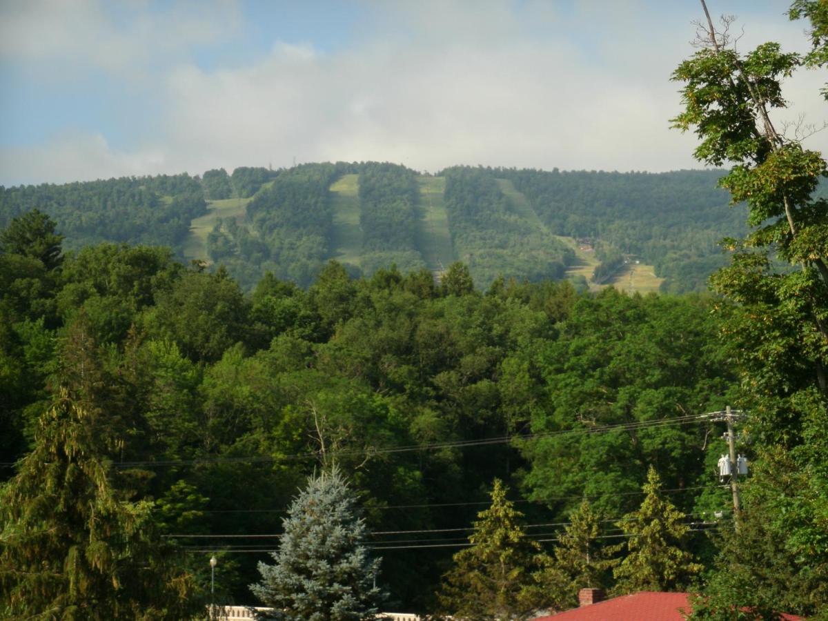 Townhouse W Private Deck & Mt View - B&B