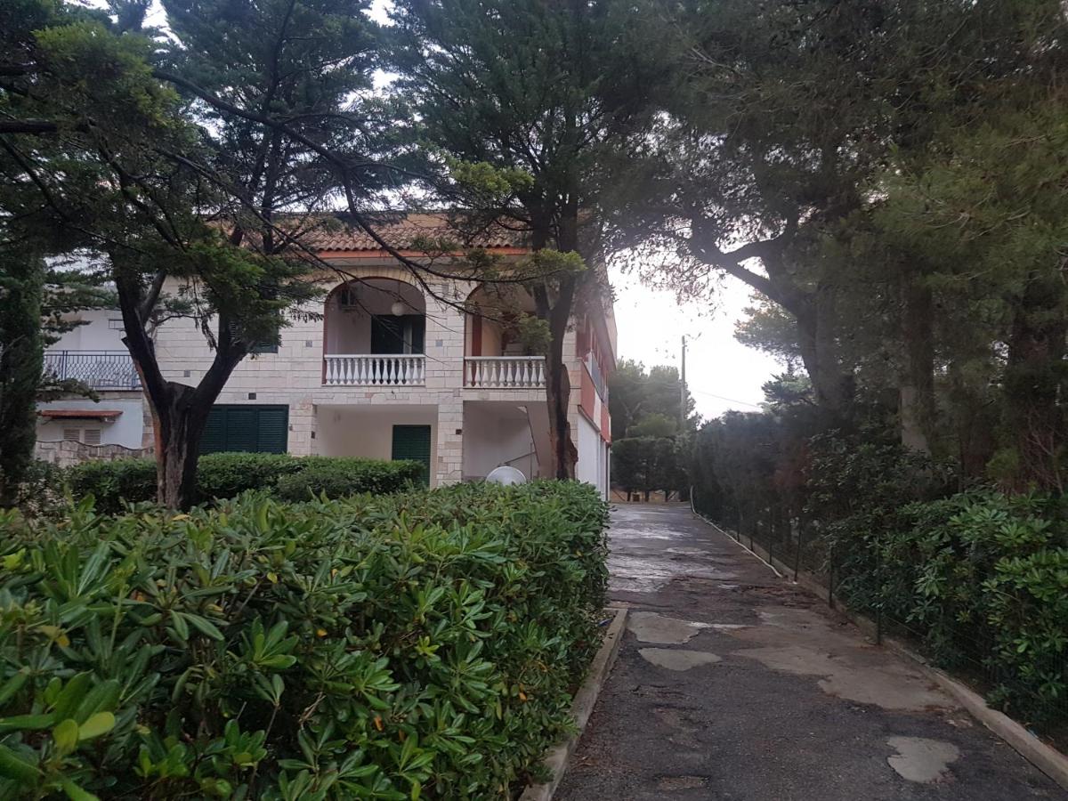Villa Letizia Sea View in Sant'Isidoro - B&B