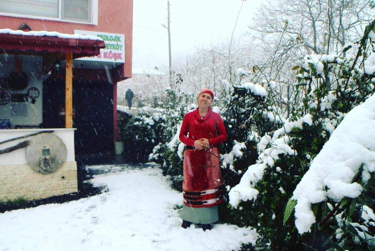 Ekolojik Güney Köy Pembe Köşk - B&B