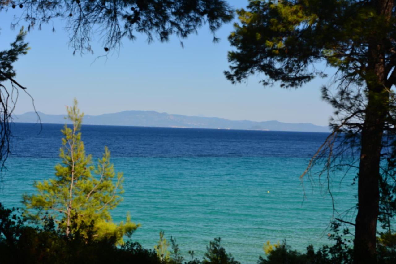 villa ATHINA - Ferienwohnung Kriopigi