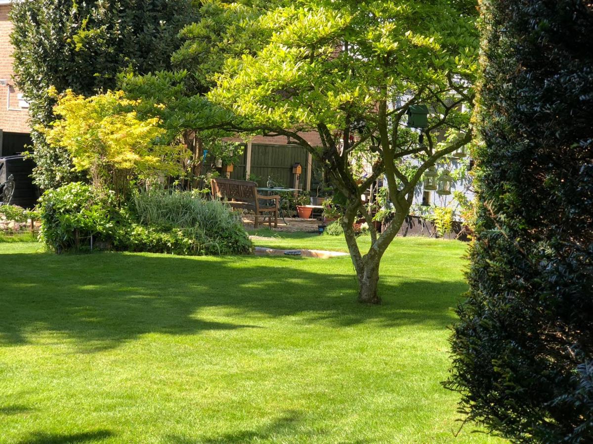 The Elms Guest House Bristol - Bed and Breakfast