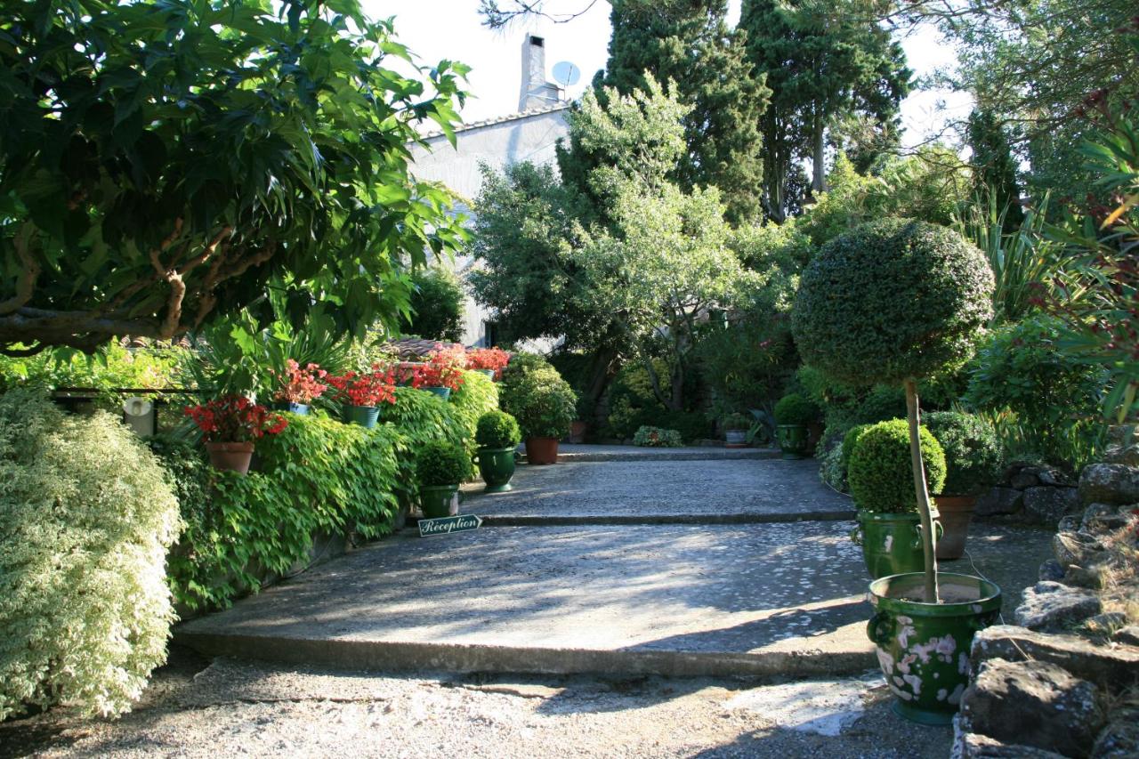 La Maison sur la Colline - B&B