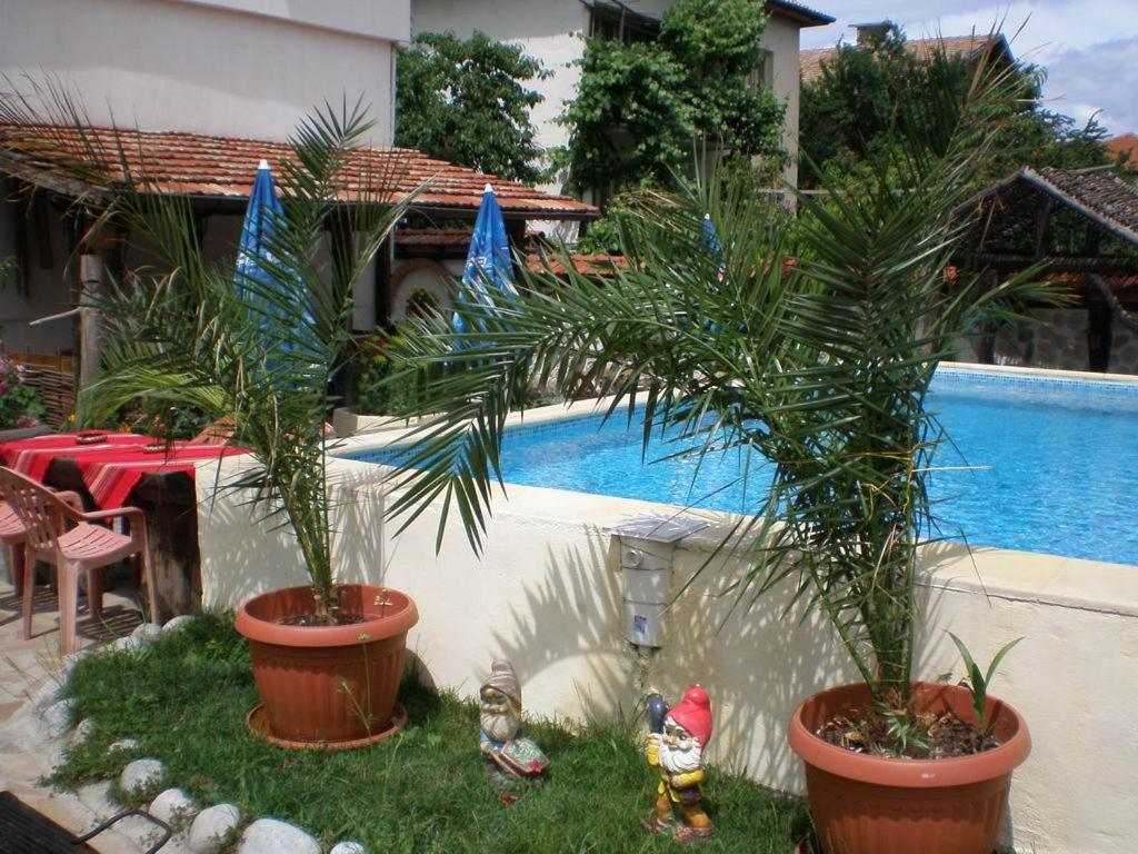 Старата Тонина къща - B&B Dobrinishte
