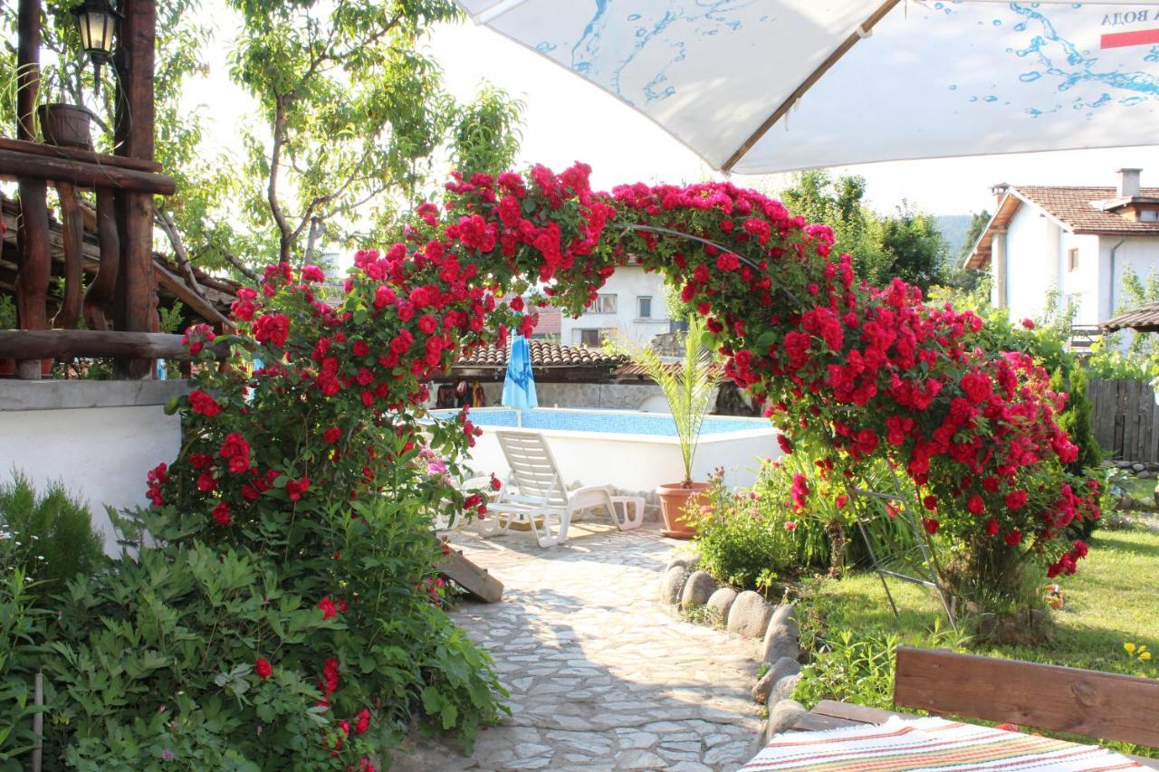 Старата Тонина къща - B&B