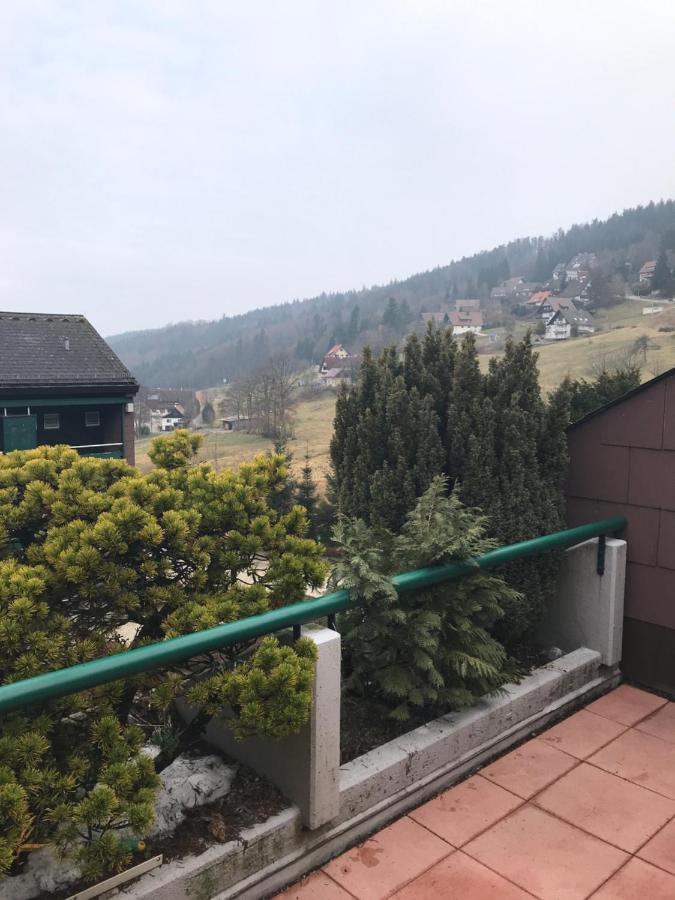 Ferienwohnung im Terrassenpark Sasbachwalden - Ferienwohnung