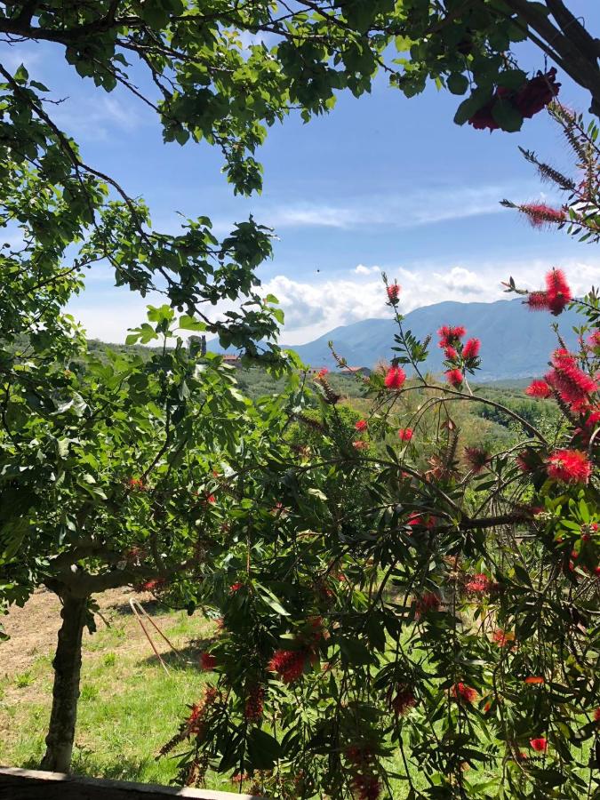 B&B La Vigna Di Mario - Chambres d’hôtes