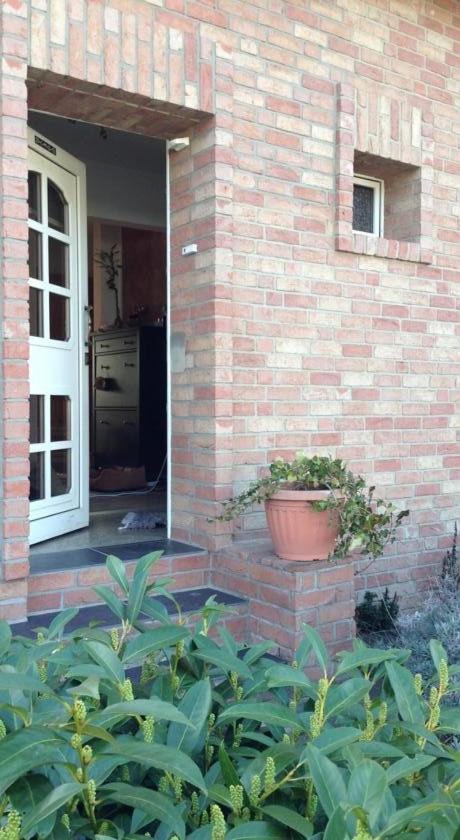 Ferienwohnung mit Garten in Köln - Ferienwohnung