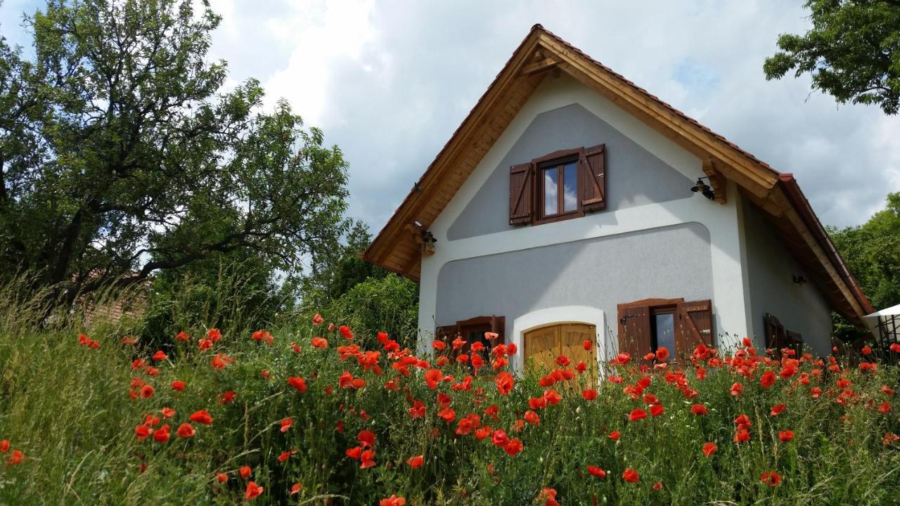 villa vita - Ferienwohnung