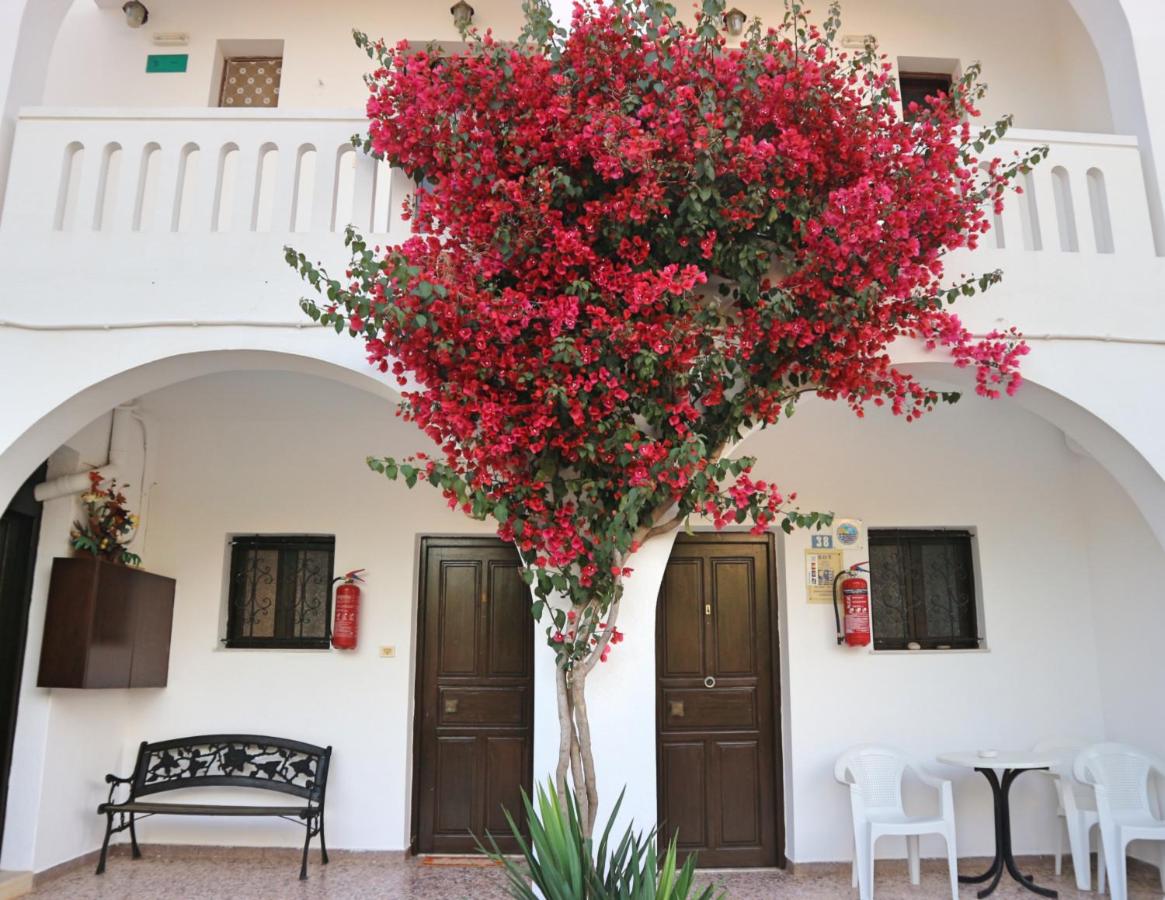Apartment with Garden View