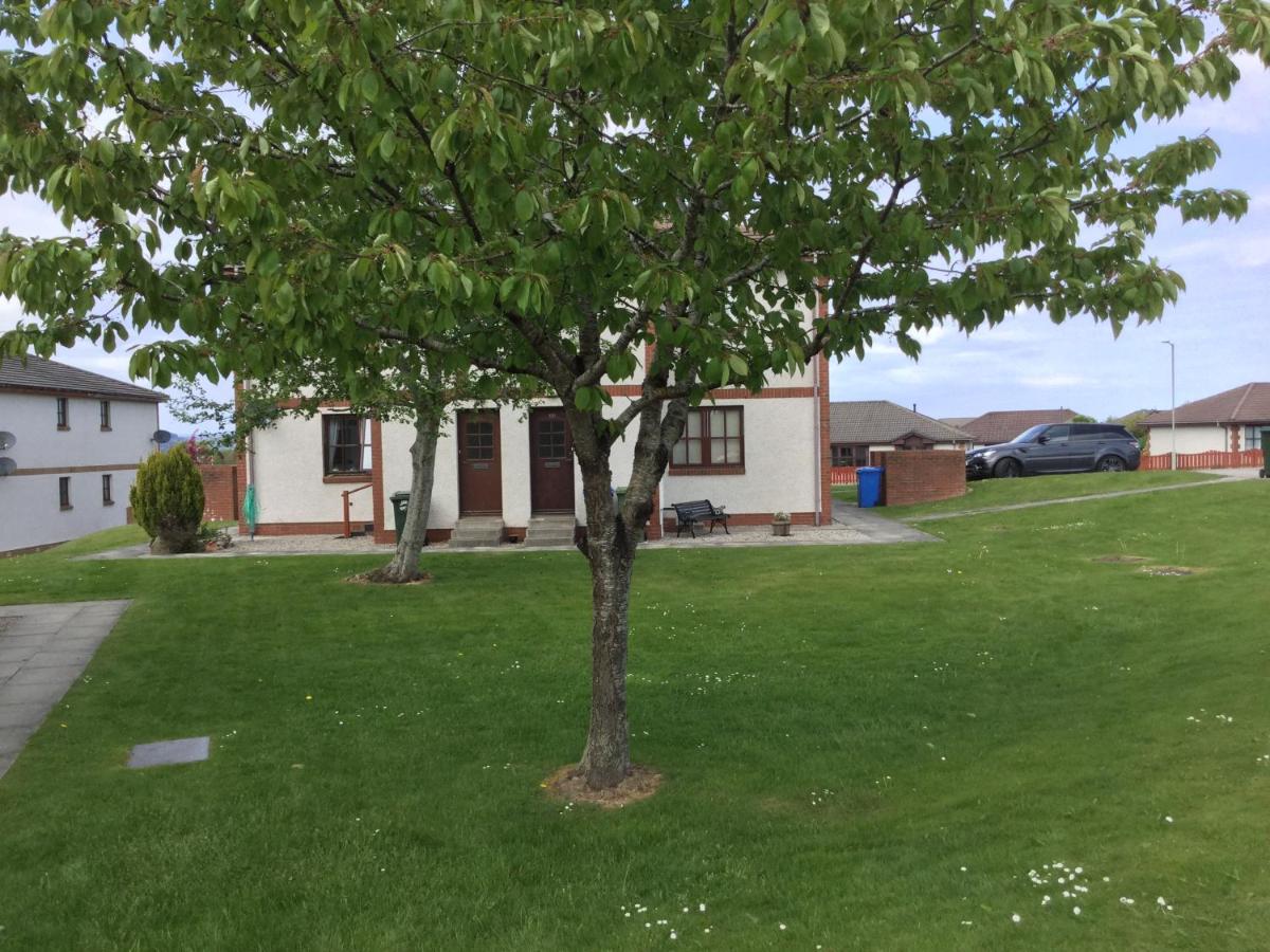 One-Bedroom Apartment - Wyvis Free Parking - B&B