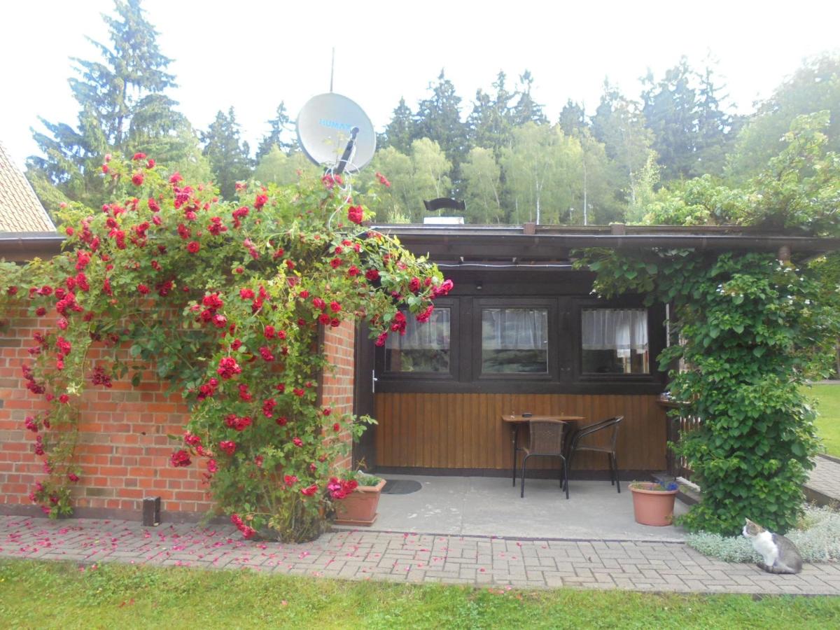 B&B Schierke - Bergfreiheit - Bed and Breakfast Schierke