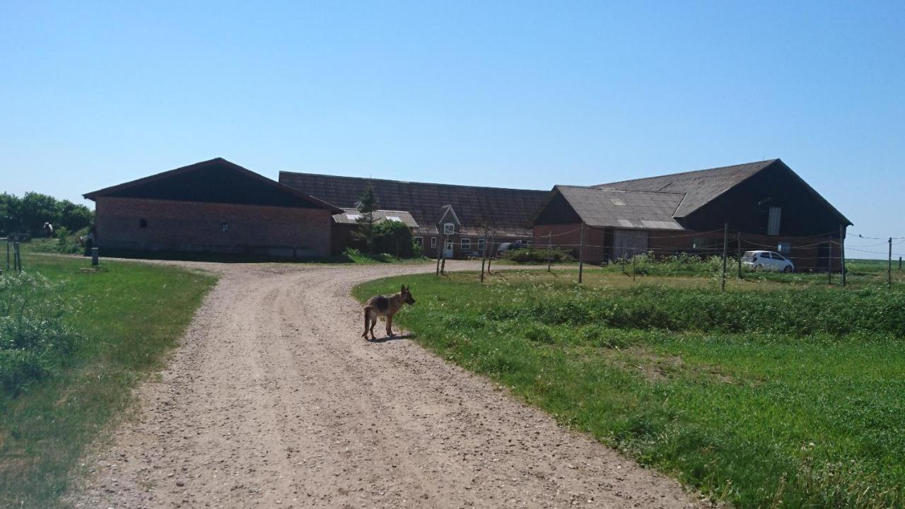 Ferienzimmervermietung Reitferien - B&B Skærbæk
