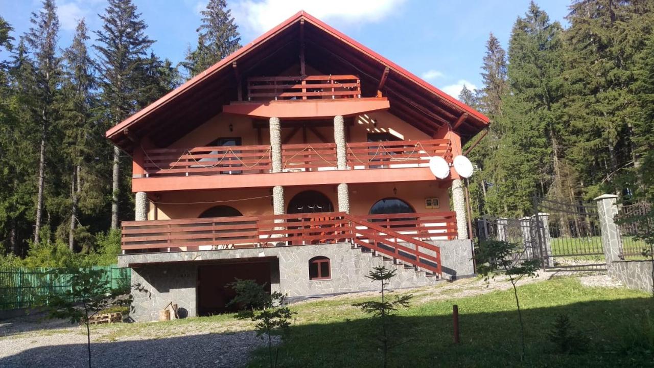 Casa de vacanța - B&B Pârâul Rece
