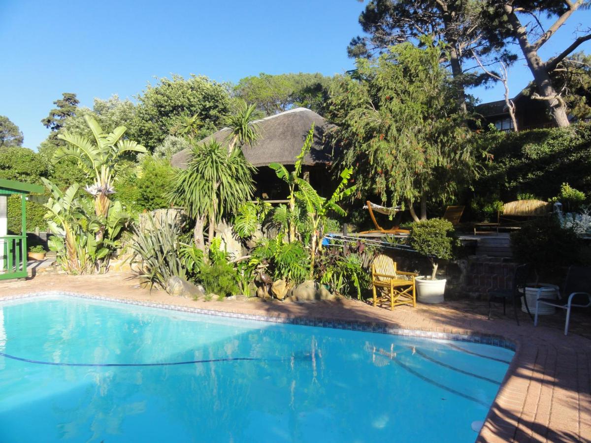 B&B Hout Bay - Birdsnest Guest Accommodation - Bed and Breakfast Hout Bay