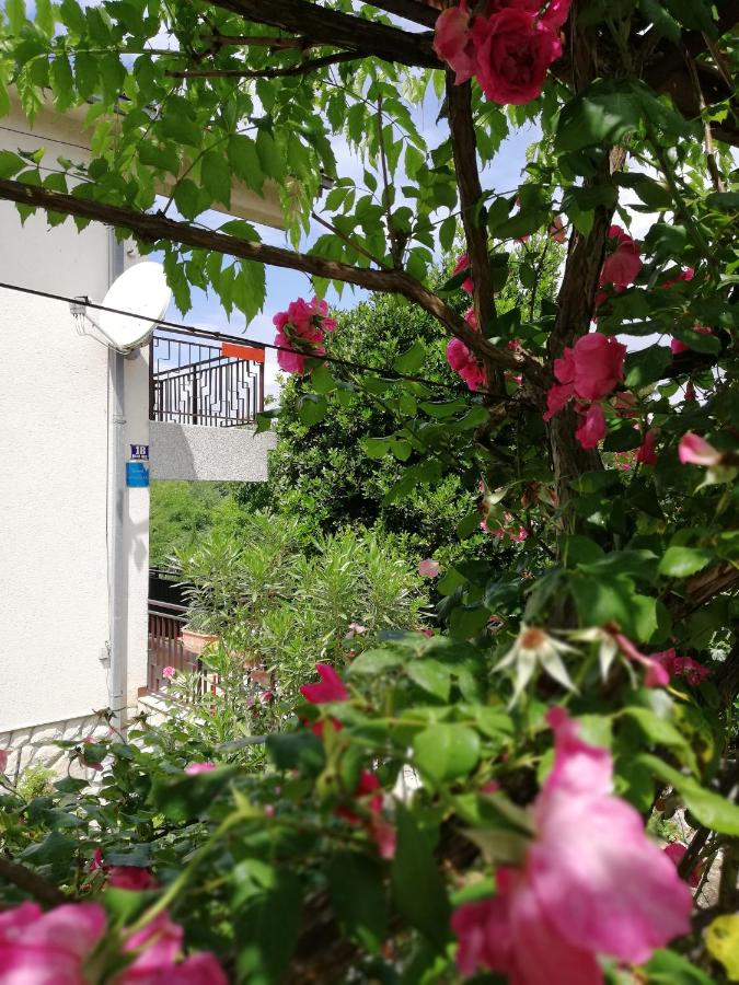 Apartment Marina - B&B