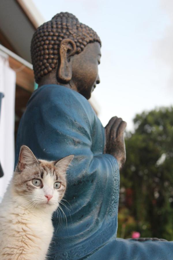 B&B Sainte-Luce - Buddha Bleu - Bed and Breakfast Sainte-Luce