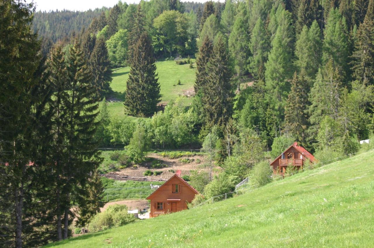 Sternen-Chalet - Ferienwohnung Grassendorf
