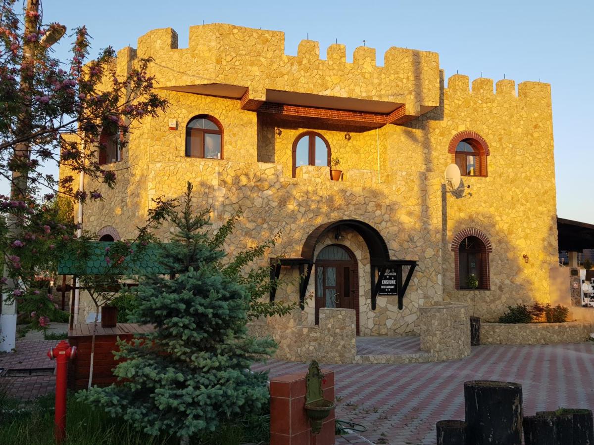B&B Paşcani - Royal Castle - Bed and Breakfast Paşcani