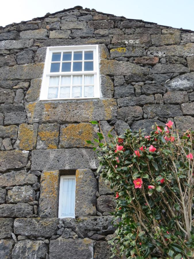 Casa Adega Alto do Passinho - Ferienwohnung Terra Alta