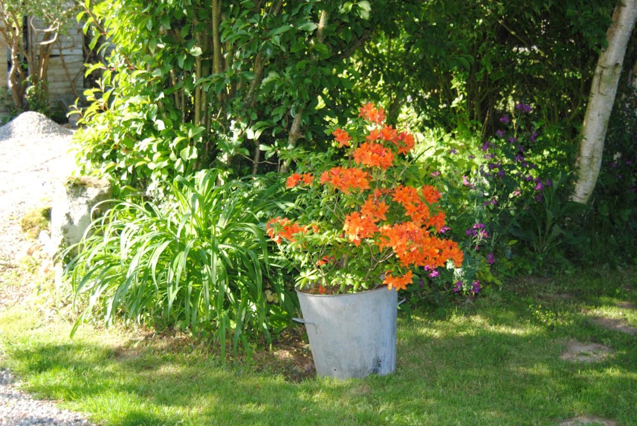 Chambre d'hotes Murielle - B&B Hattenville