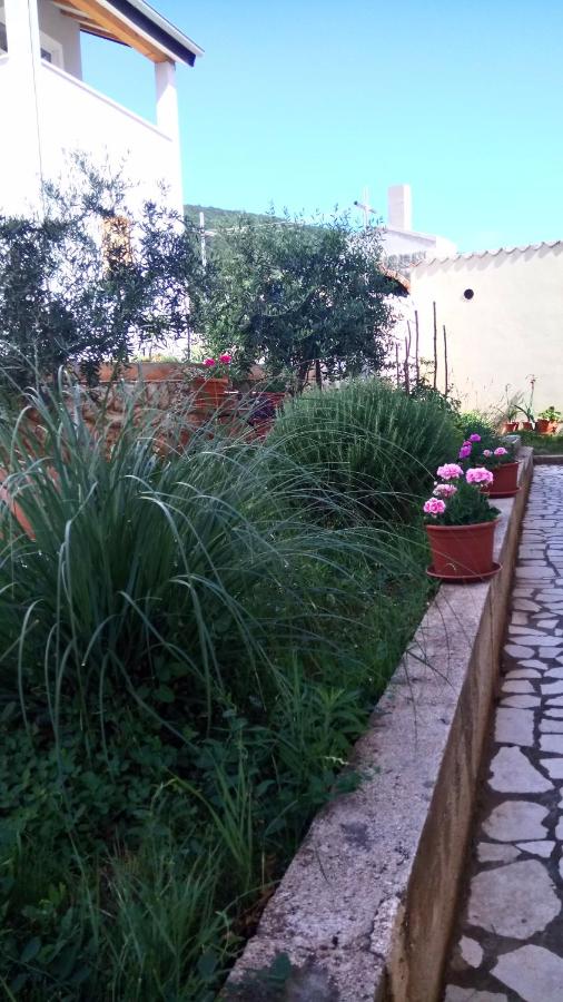 Apartment Roza - B&B Cherso