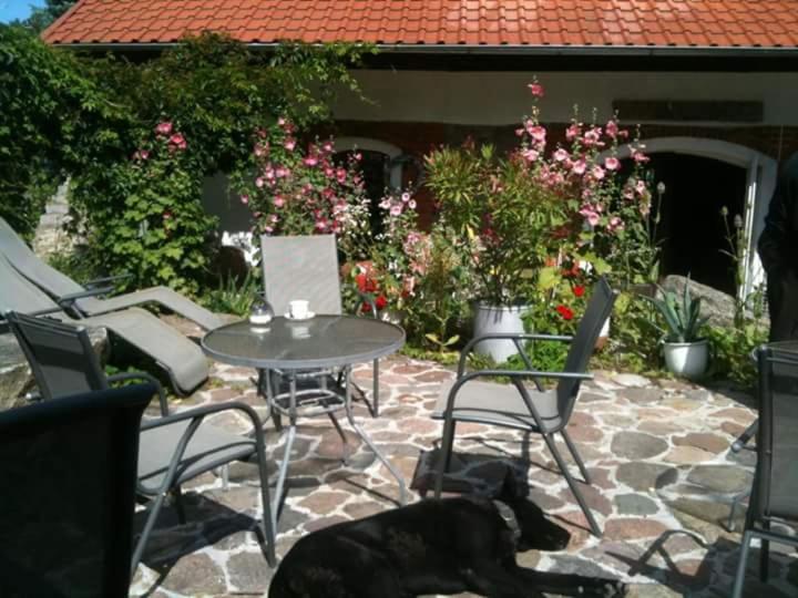 Pension Jakubowo - B&B
