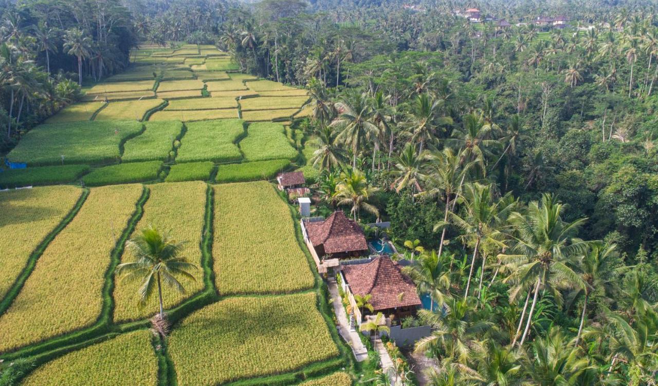 B&B Ubud - Mandana Ubud Villa - Bed and Breakfast Ubud