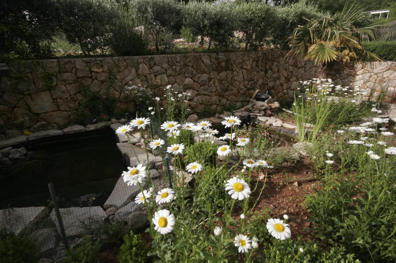 Appartamento con 2 Camere da Letto e Vista Piscina