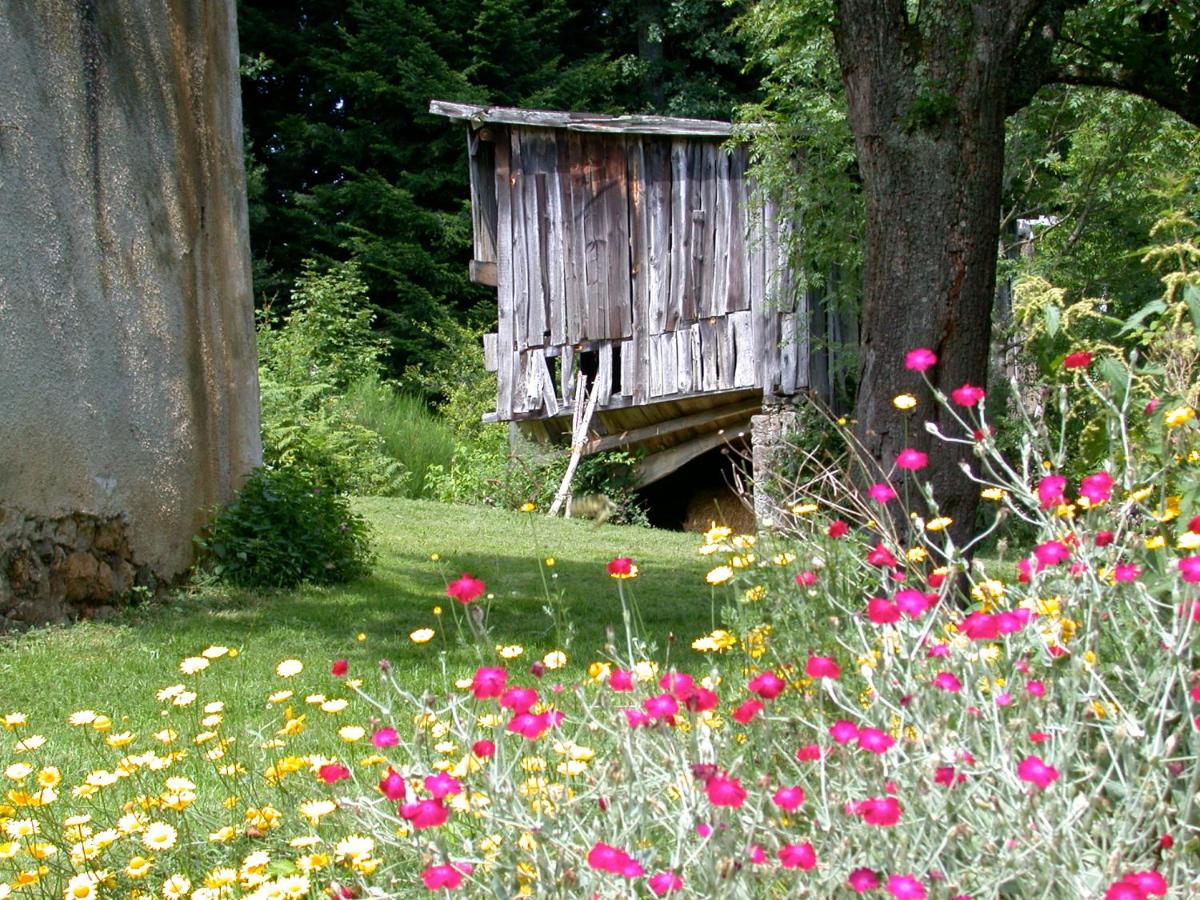 Ana'chronique - B&B Marat