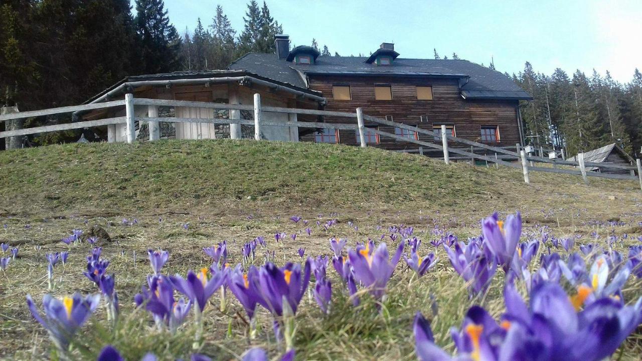 Mountain Lodge Smrekovc - Ferienwohnung Sostanj